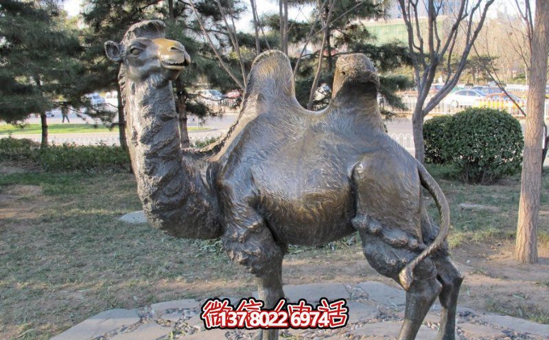 創(chuàng)意大型玻璃鋼駱駝雕塑，在草地上擺放，一眼回頭